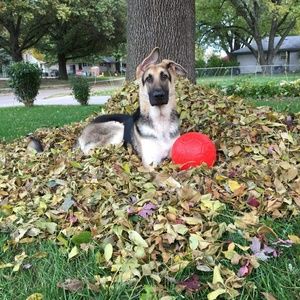 Meet your Posher, Zach